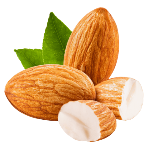 Mandorle