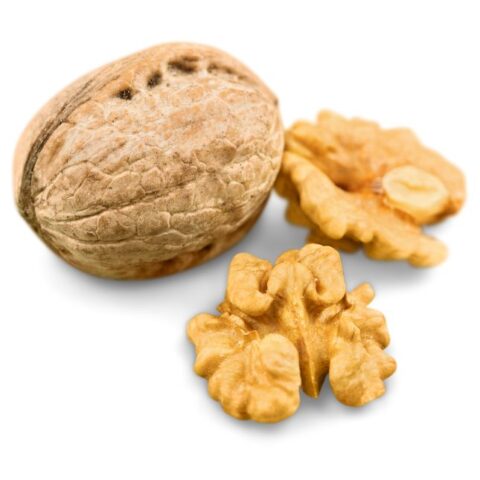 Noci